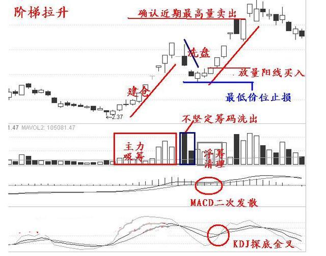 澳门最精准正最精准龙门蚕,高度协调策略执行_至尊版76.998