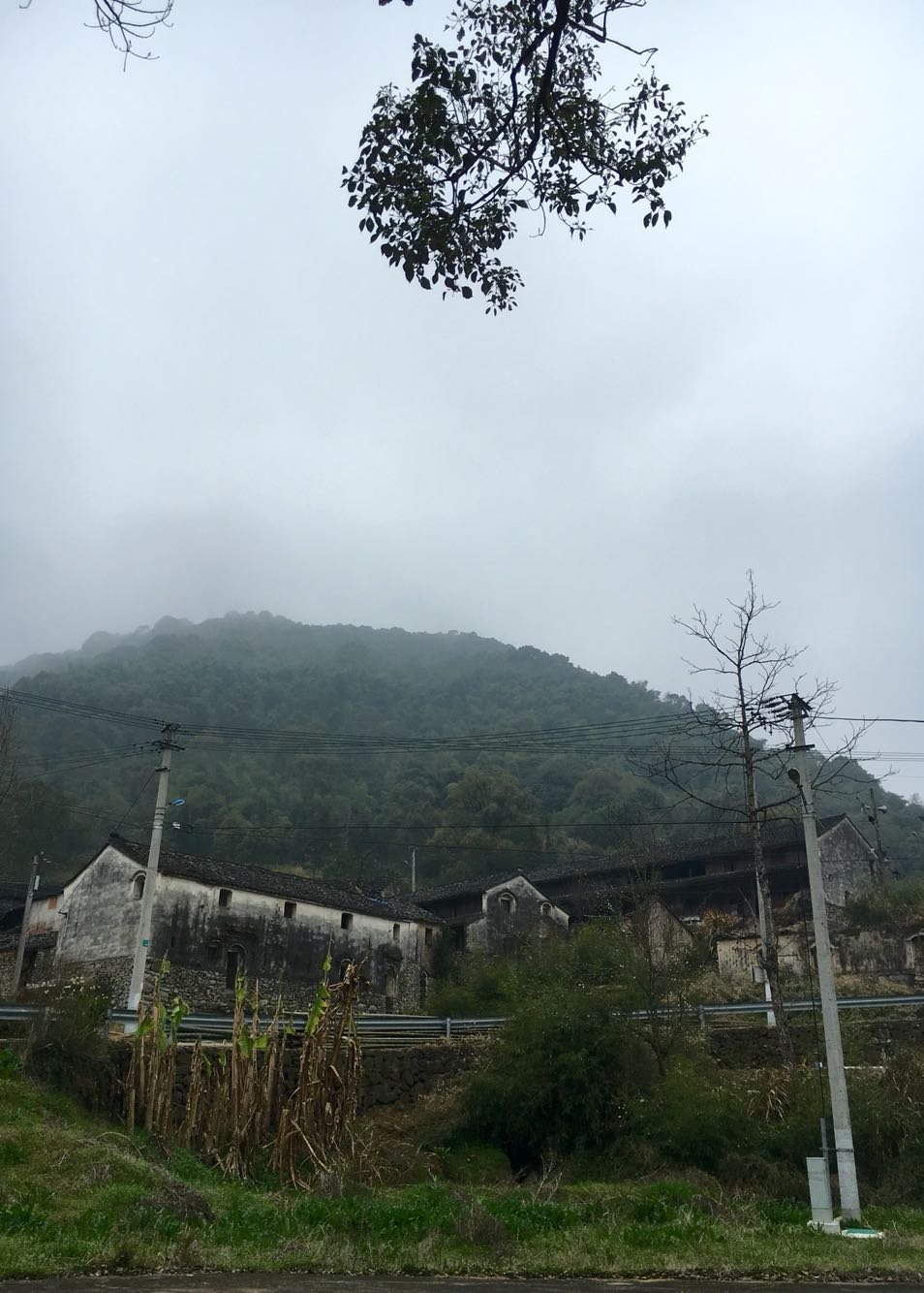 谢三村街道天气预报更新通知